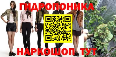 индика Старая Купавна