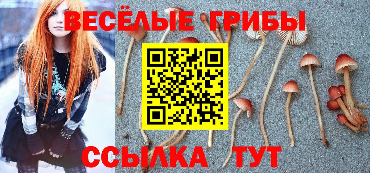 Павлово  Псилоцибиновые грибы Psilocybine cubensis  Вход с VPN 